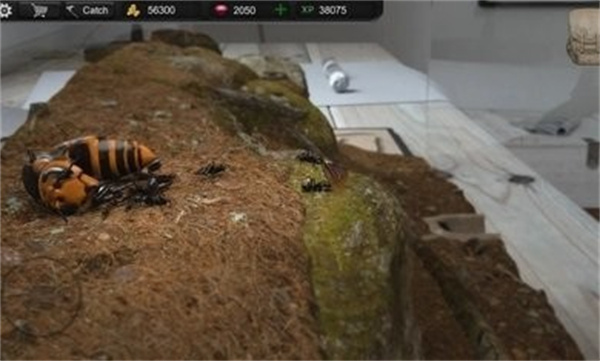 蚂蚁模拟大亨无限钻石版