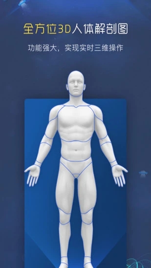 3D人体解剖图谱