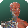 万康人体解剖3D软件官方版