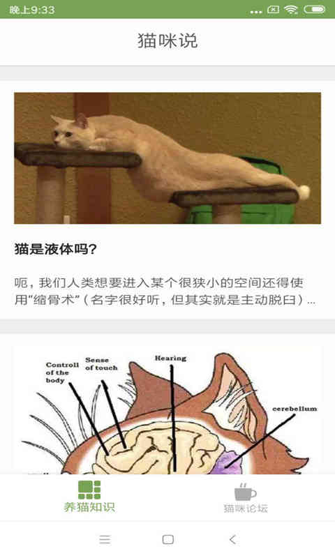 猫咪生活圈