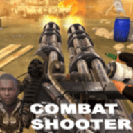 Combat Shooter（团队死亡竞赛2024）