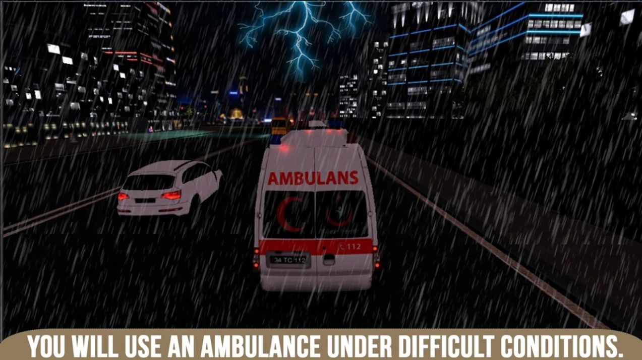 EmergencyAmbulanceDriver andParamedicSimulation