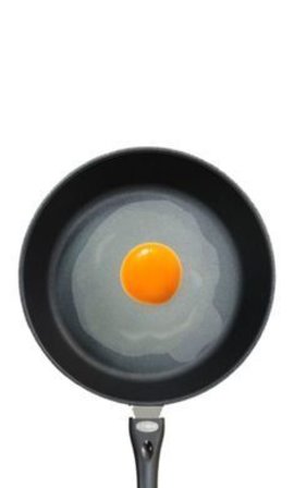 Fried Egg