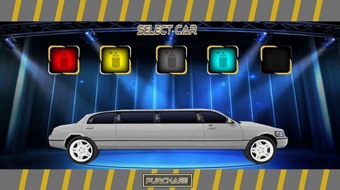 城市豪华出租车（luxury city limo driving）