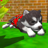 cute pocket puppy 3d（小狗养成模拟器3D）