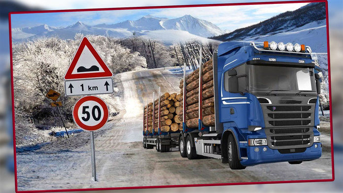 Real Euro Truck Driving Simulator 2019(疯狂重卡越野模拟)