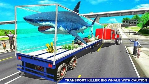 海洋动物运输车驾驶