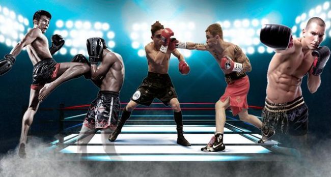 free boxing round combat（真正的拳击2024）