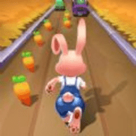 兔子逃生跑游戏（Bunny Escape Run）