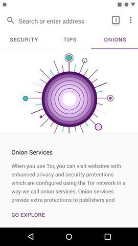 the onion router  软件（Tor Browser）