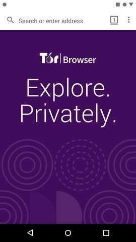 洋葱tor正版（Tor Browser）