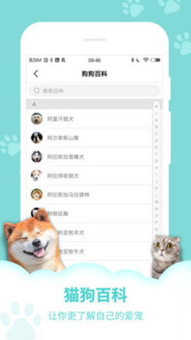 狗语翻译器app