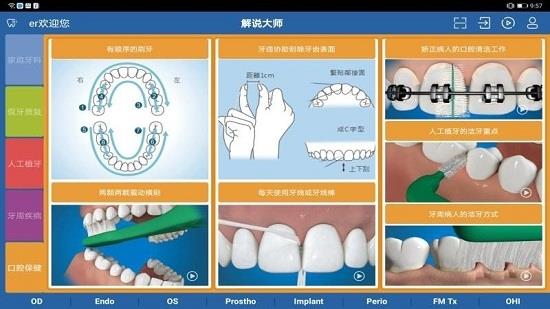 牙医解说大师