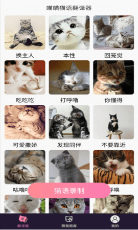 喵喵猫语翻译器