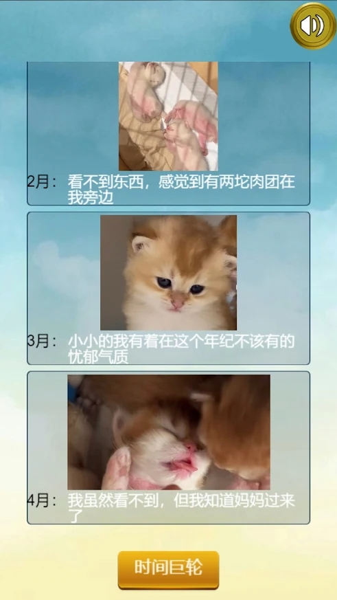 猫的一生重启模拟器