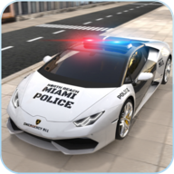 PoliceCarDrivingGames3D