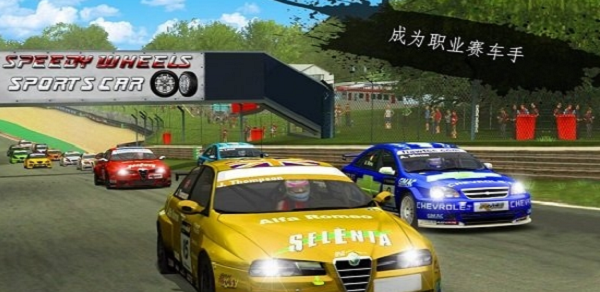 RallyRacerFury3DExtremeRacingGame