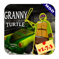 GrannyTurtle2