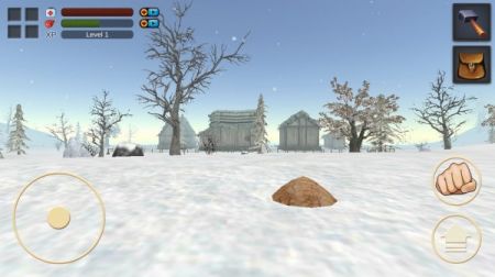 SurvivalWinterIsland