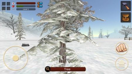 SurvivalWinterIsland