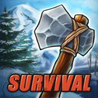 SurvivalWinterIsland