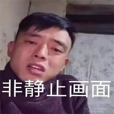 铁山靠邦邦两拳表情包图片