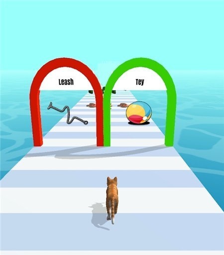 宠物赛跑3d游戏