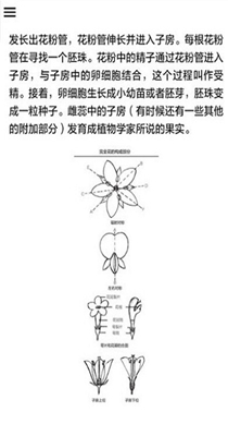 野外植物识别手册