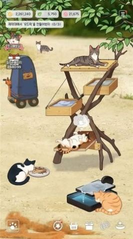 渔场猫咪福利版游戏