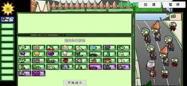 植物大战僵尸bt最新版(PVZ_BT)