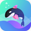 海豚吃短信