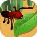 蚂蚁进化3d攻陷红蚁