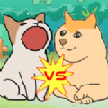 波波猫vs柴犬